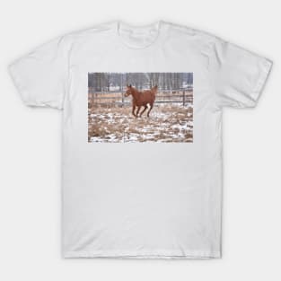 Palace Malice filly T-Shirt